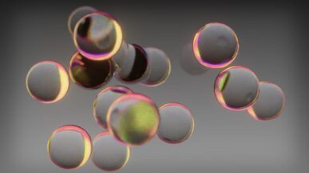 แสงตะวันใหม่