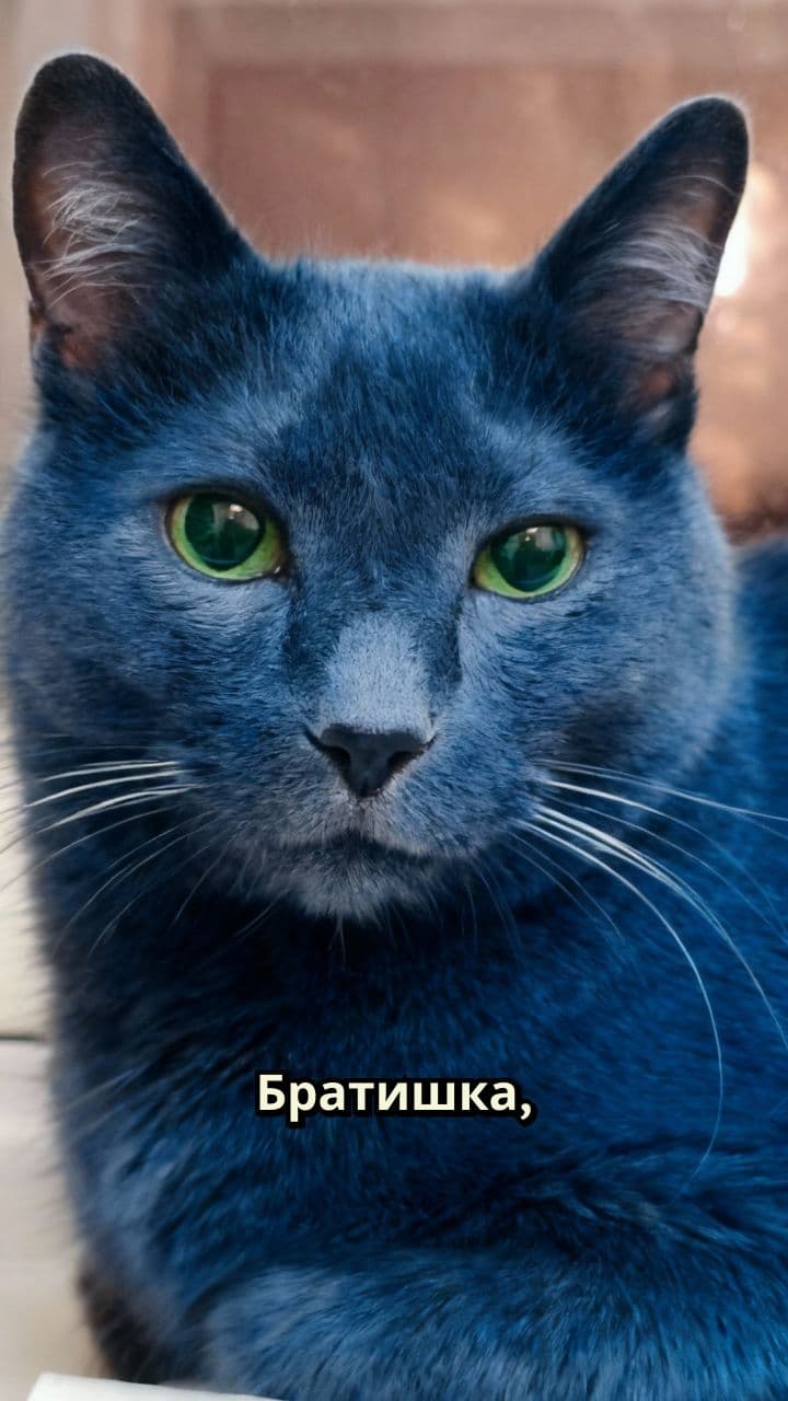 Братишка, с днюхой тебя!