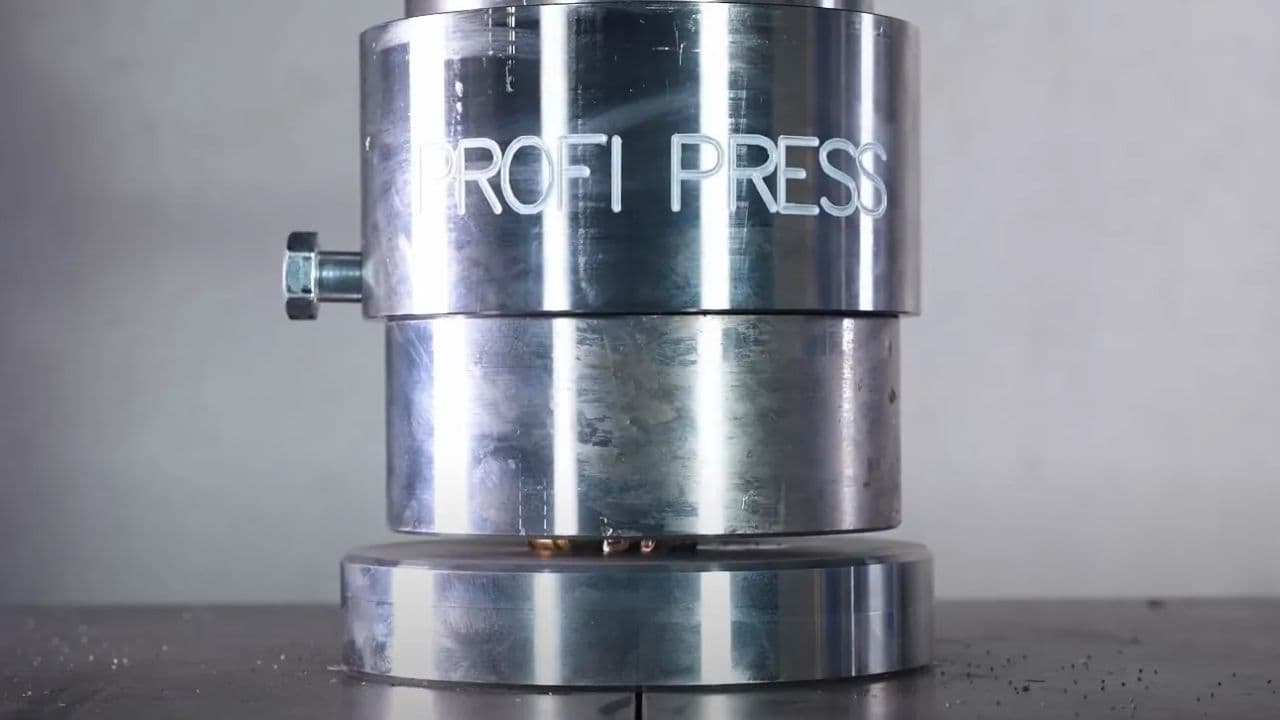 Rescatan elefante bebé de un pozo en India