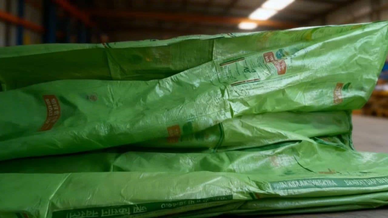 Image transform video