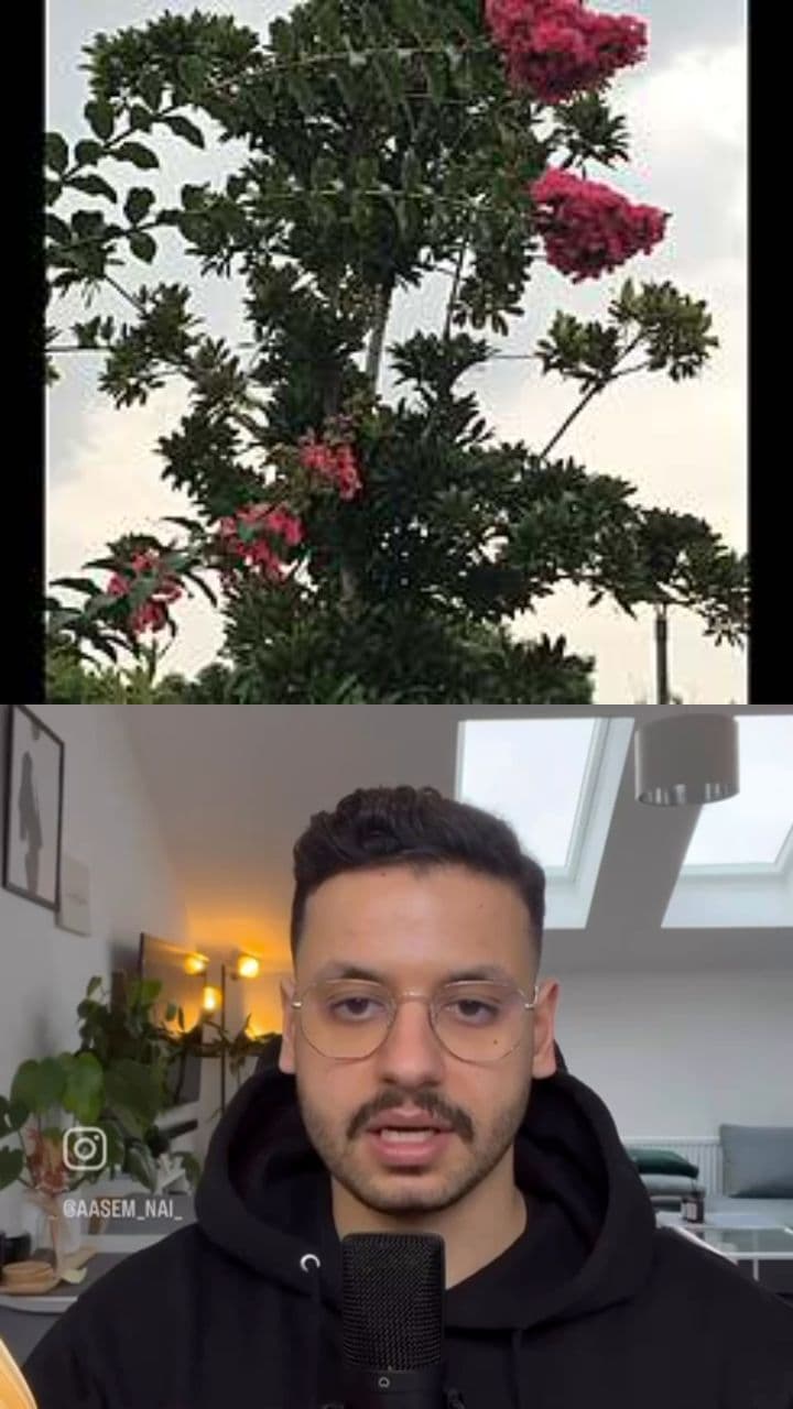 Wenn ich sterben muss, lass es Hoffnung bringen