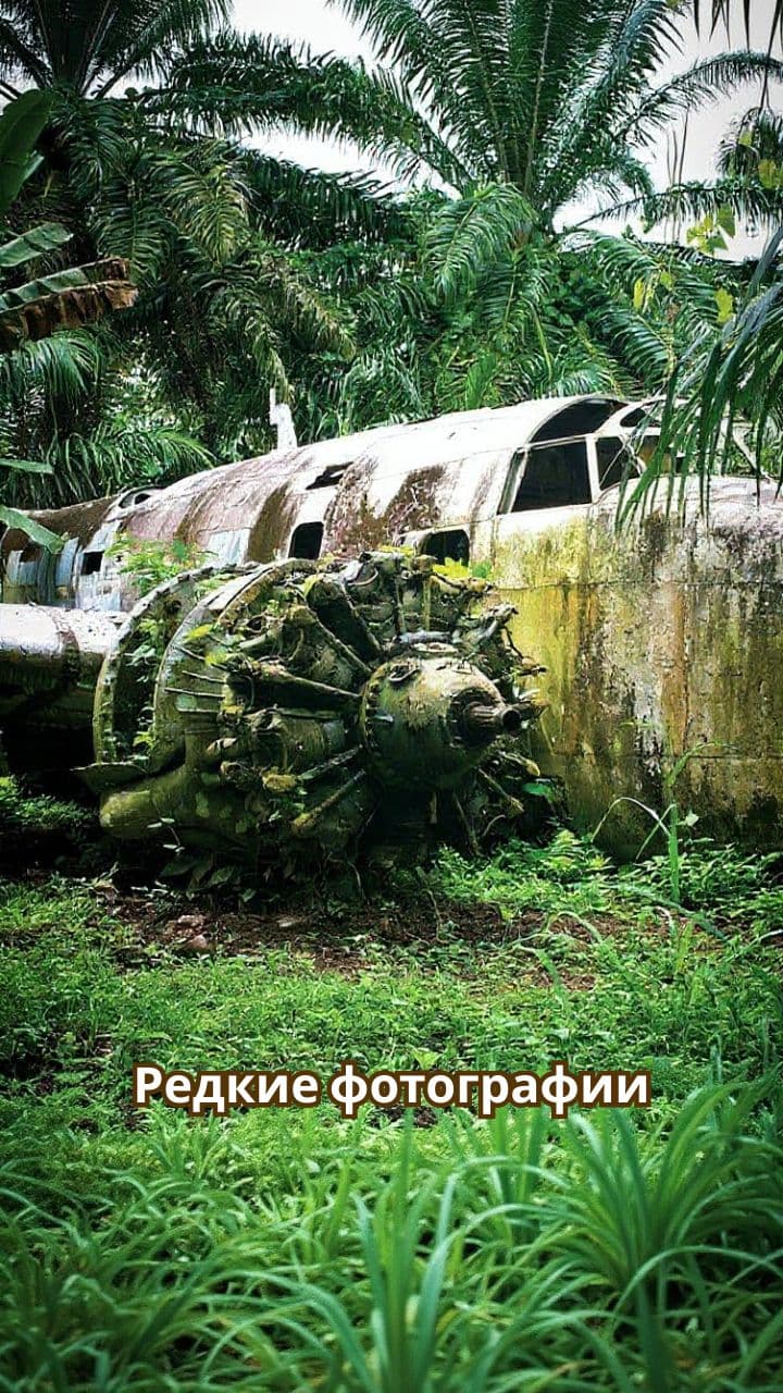 Удивительные редкие фотографии природы и искусства