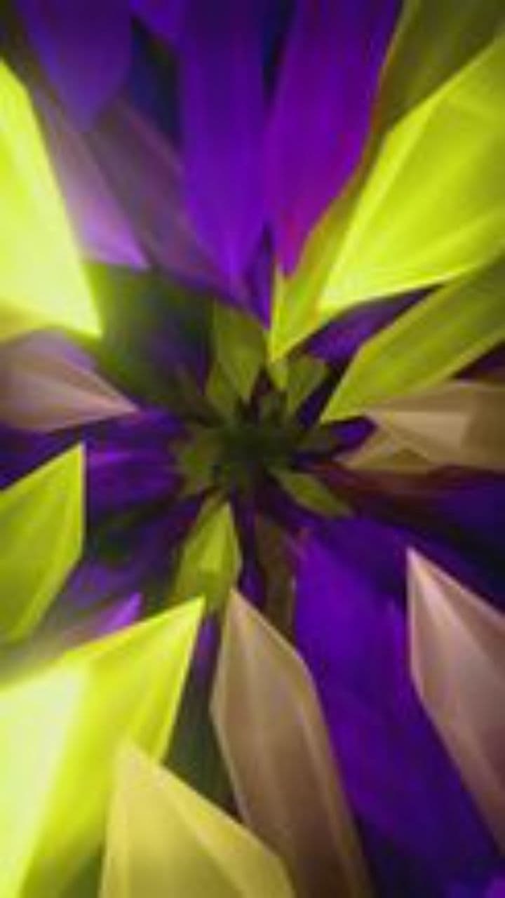 स्ट्रेस को छोड़, खुद को प्यार कर