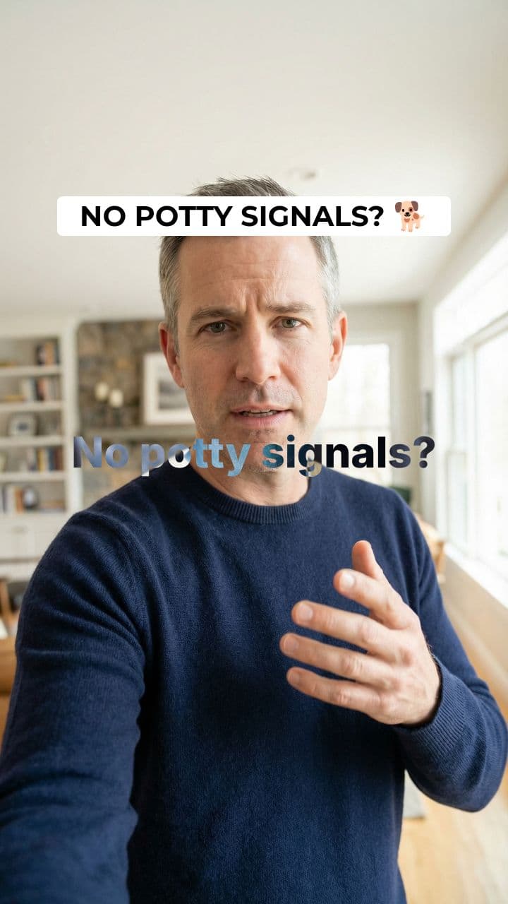 PawChamp Potty Reset Challenge UGC Ad