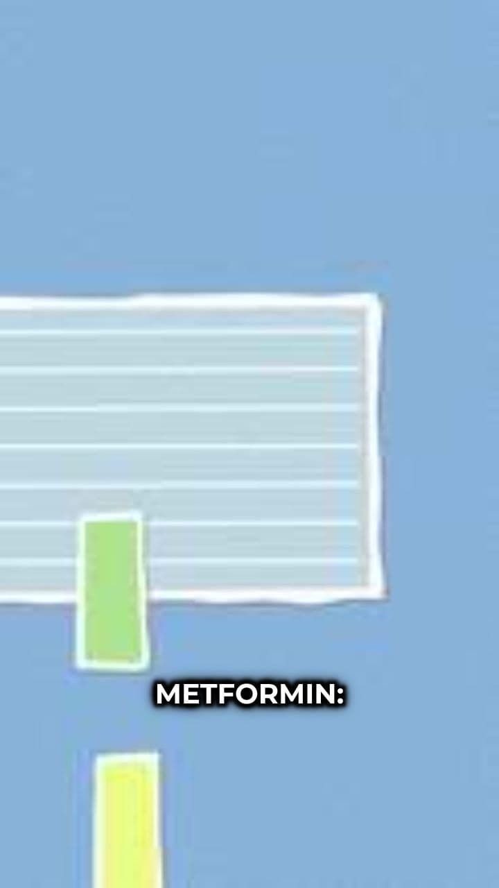 Metformin: Re-evaluating Lactic Acidosis Risk