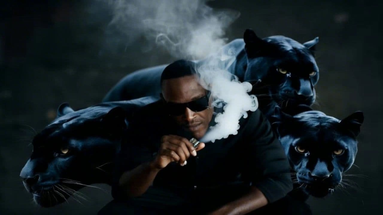 Image transform video