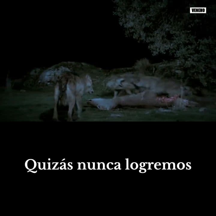 El Único Ser que te Amará más que a sí Mismo