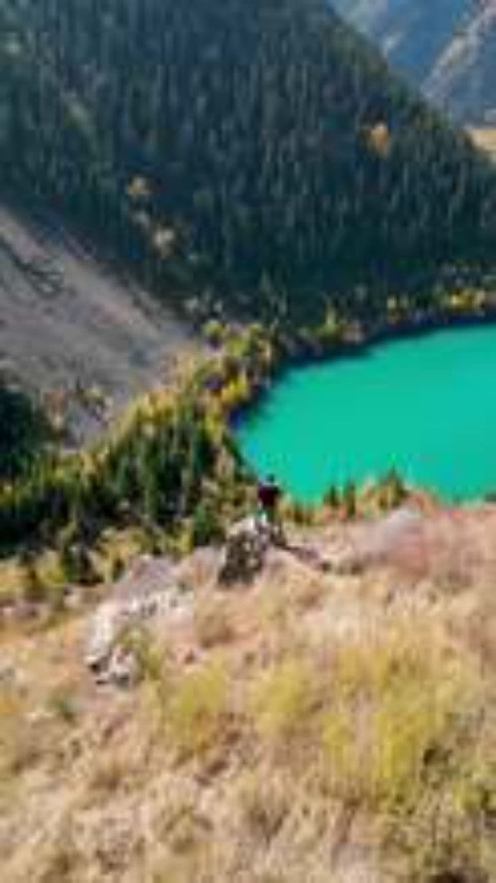 Life Moving Within Me