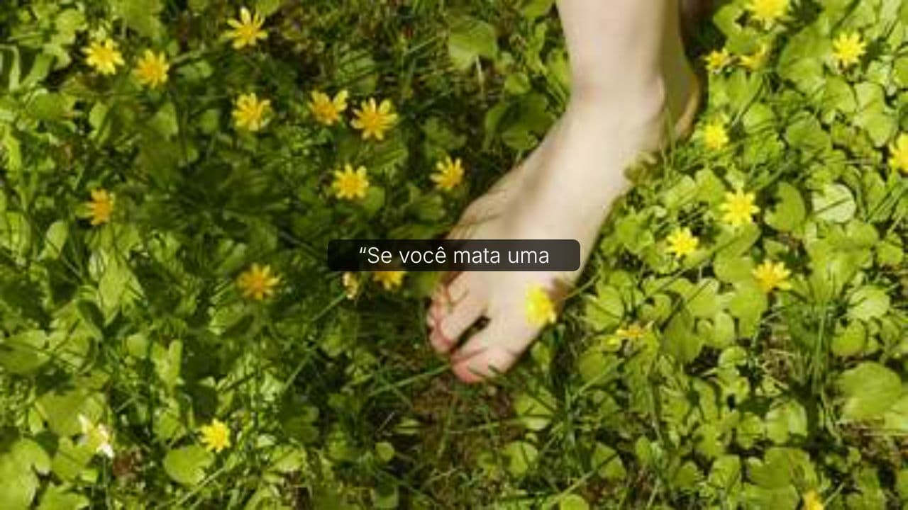 Moral Estética: Borboletas e Baratas