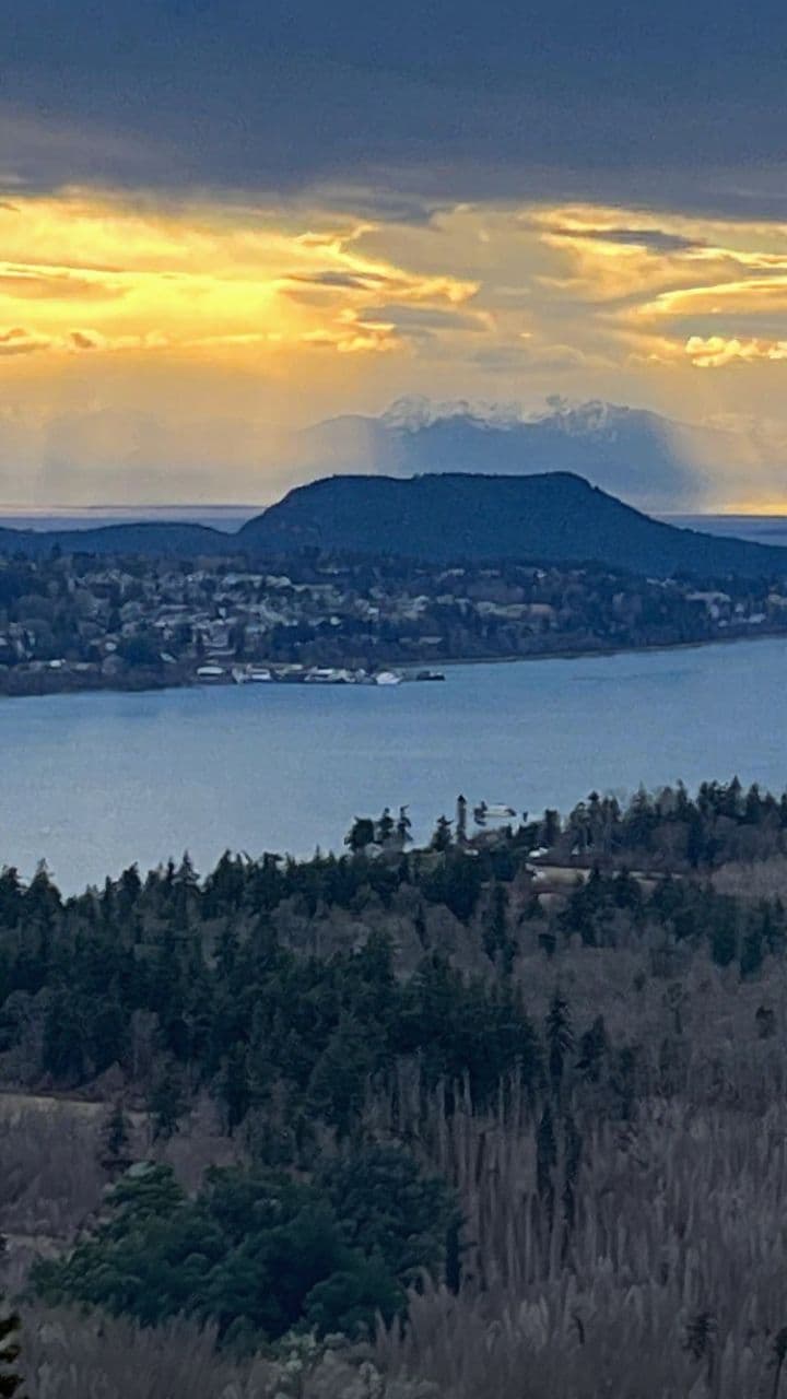 American Nights on the Beach