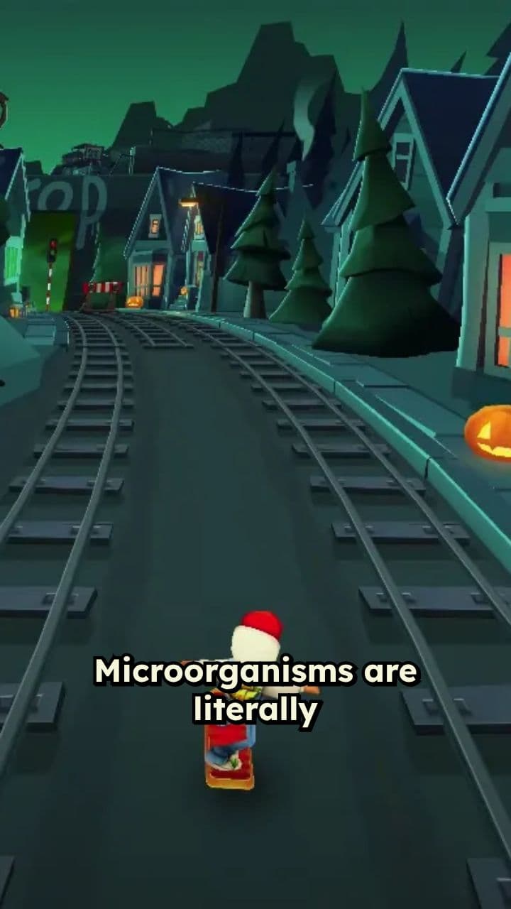 The Hidden World: Our Microbial Companions