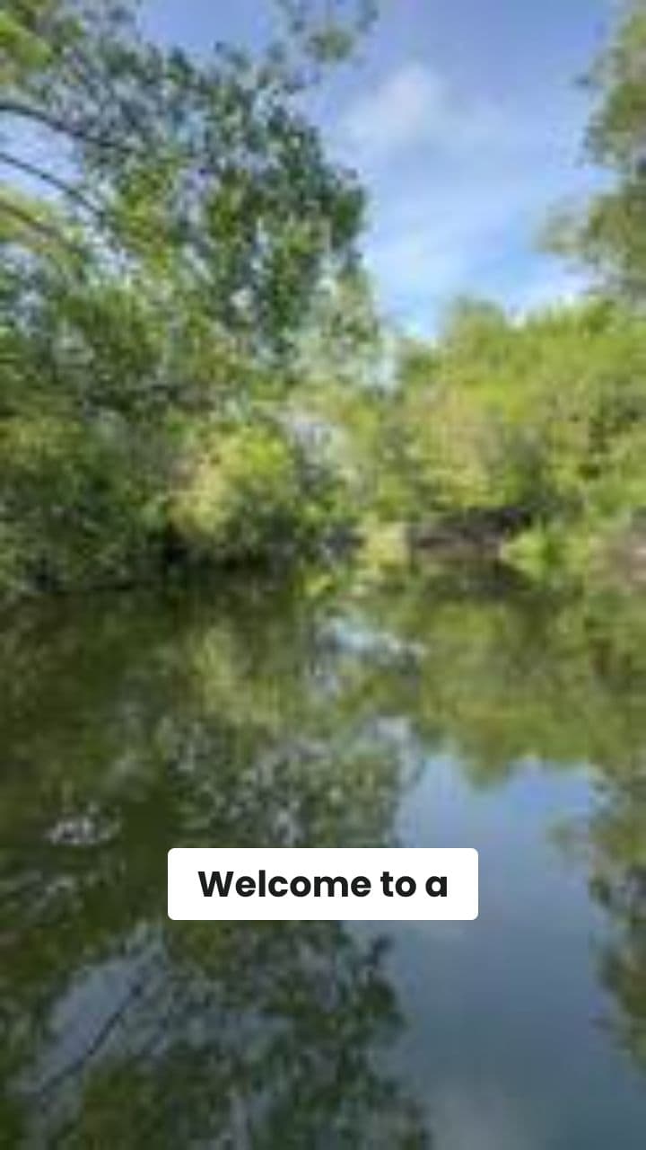 Croco's Joyful Jungle Birthday