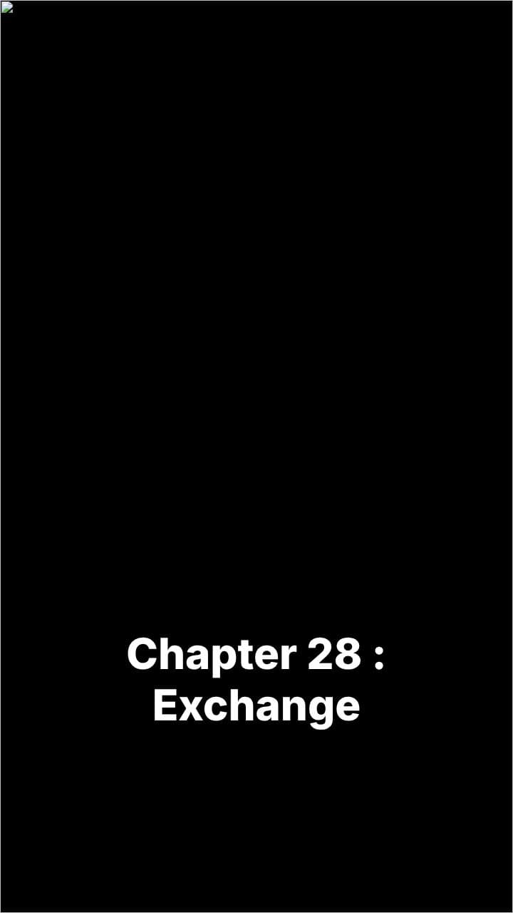 Understanding Exchange Rates