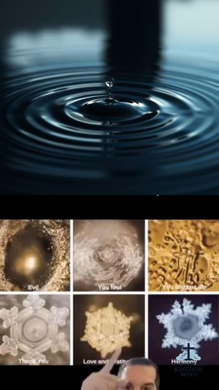 The Power of Words on Water and Rice