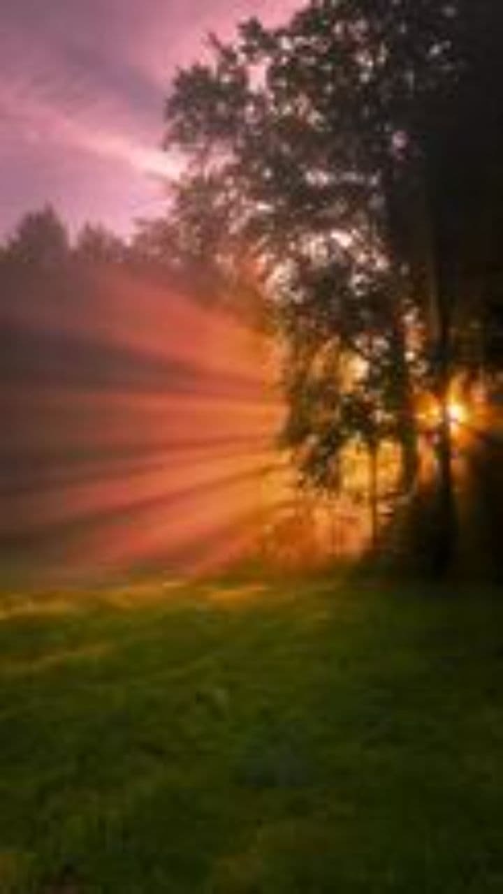 Сила любви и надежды