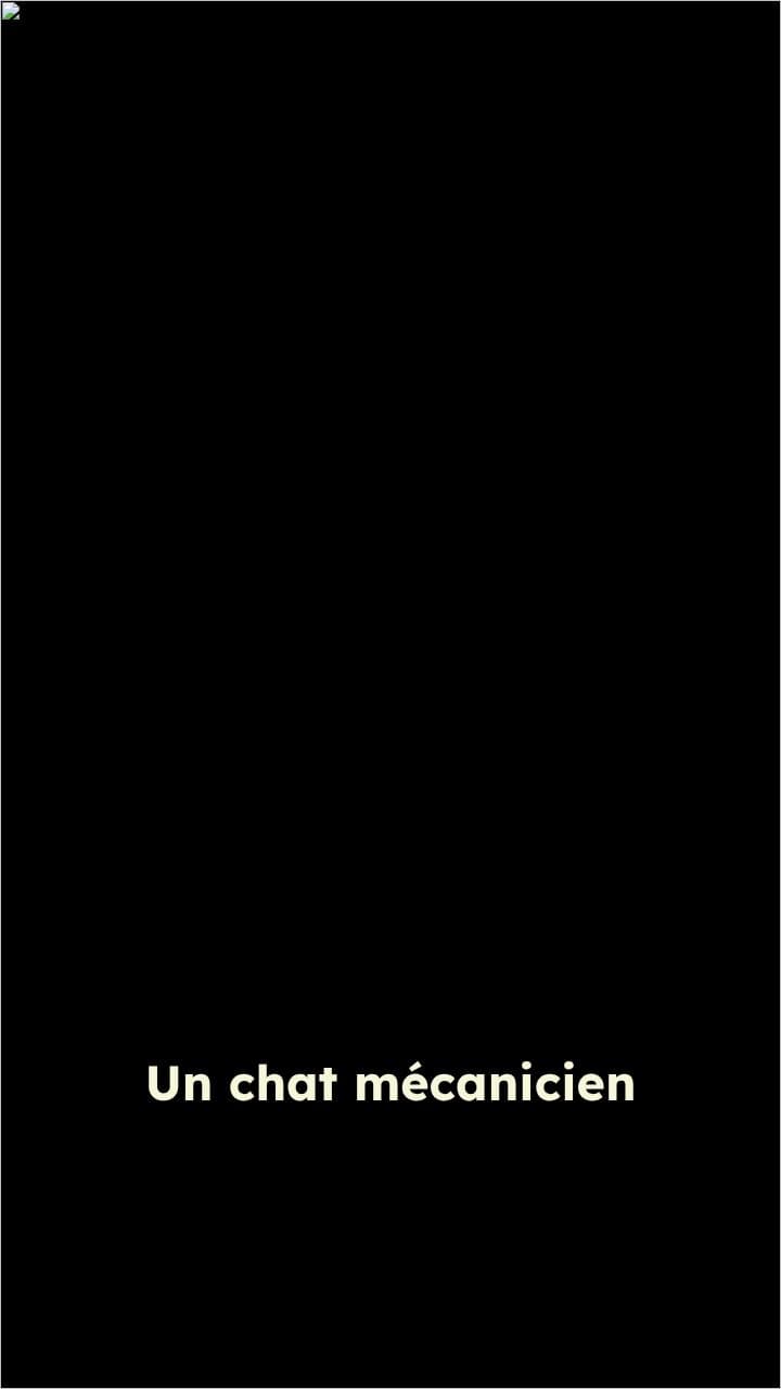 Le chat mécanicien d'Halloween