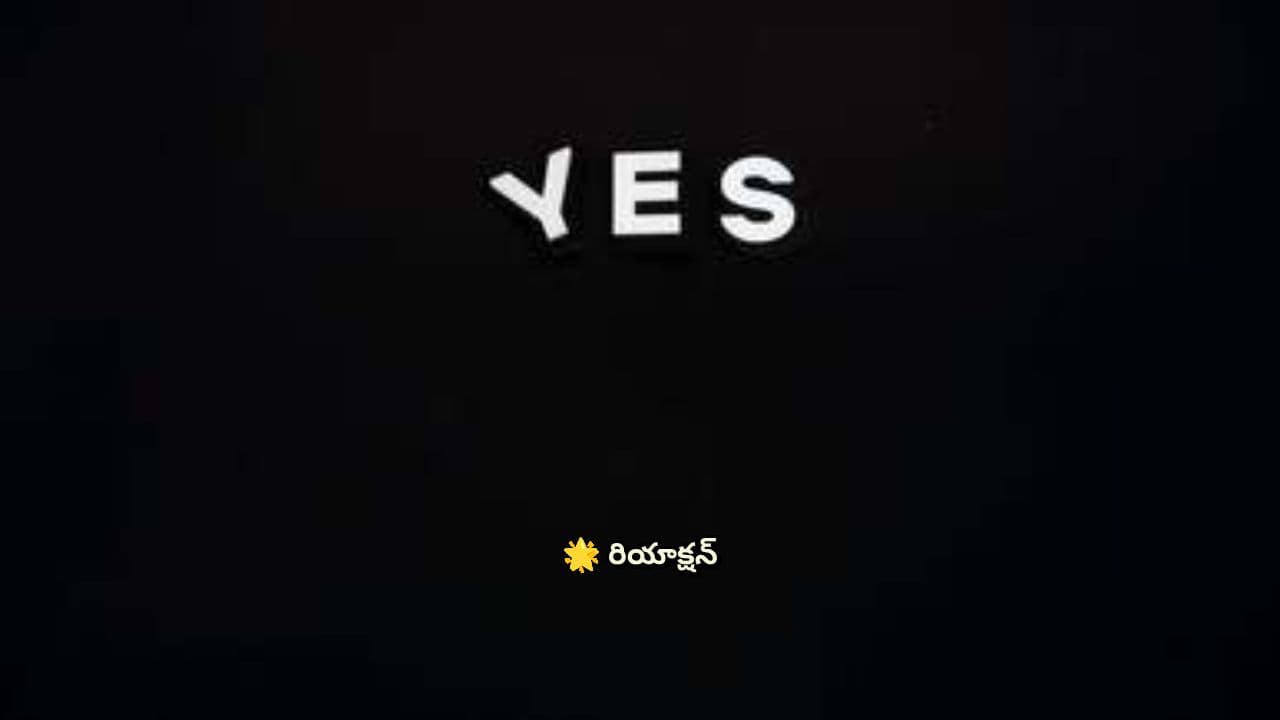 రియాక్షన్ vs రెస్పాన్స్: మీ ఎంపిక