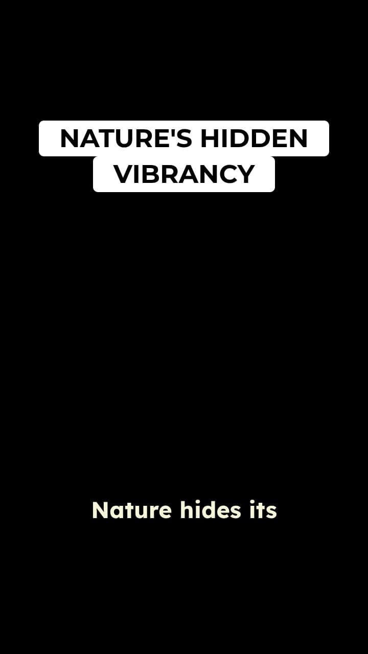 The Polarized Rainbow