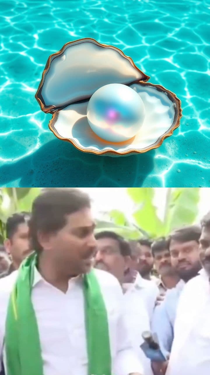 ముత్యమా మోనమోనమోనమో