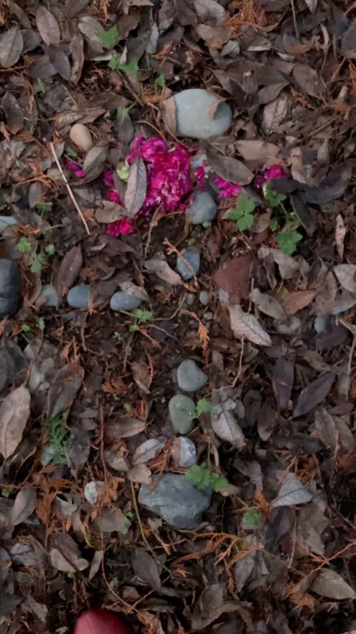 Activating a Fairy Cairn at Sunset