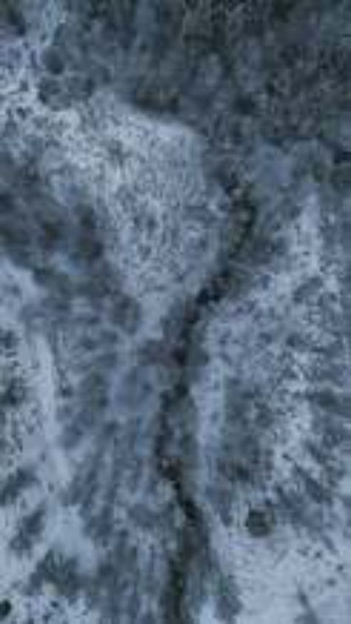 Northern Kings Never Die