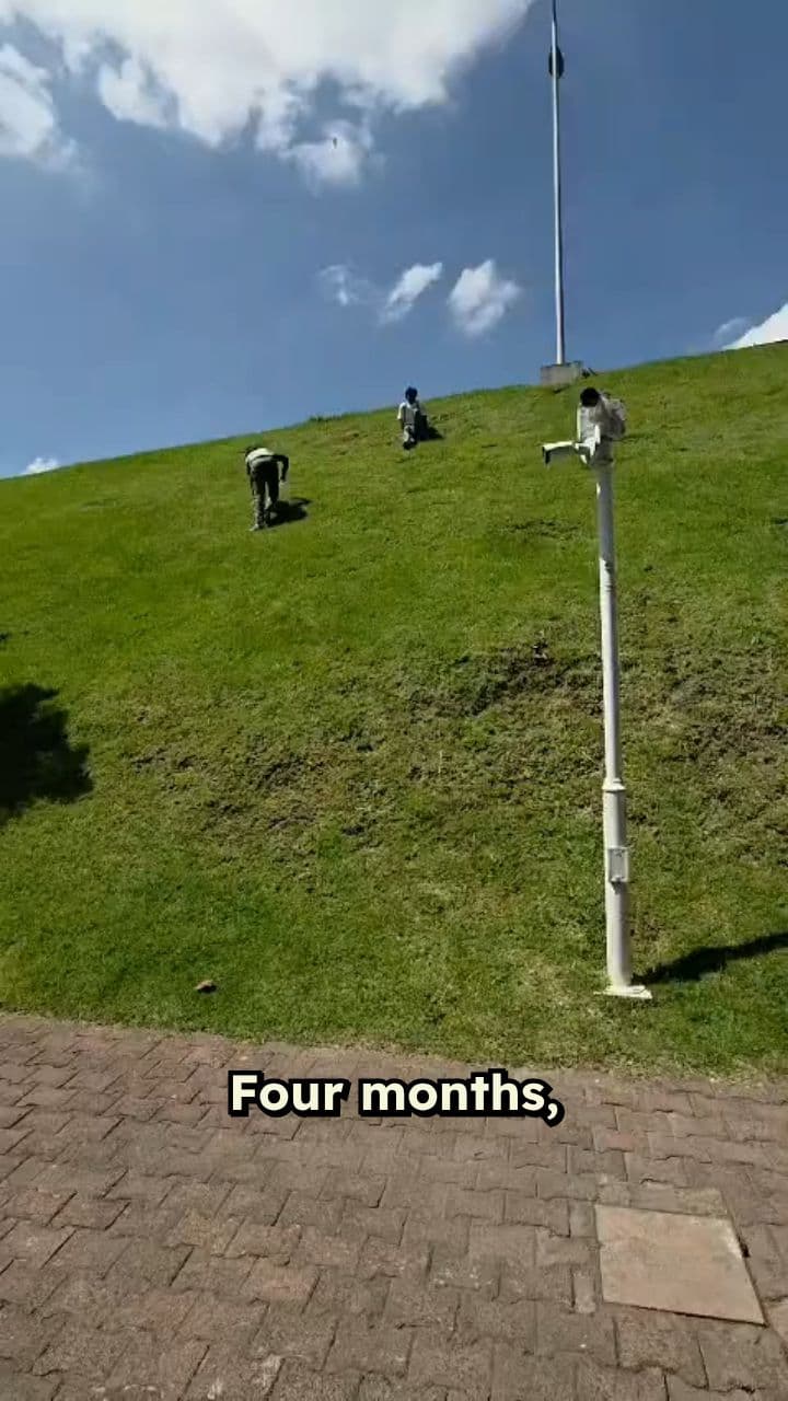 A Reflective Journey