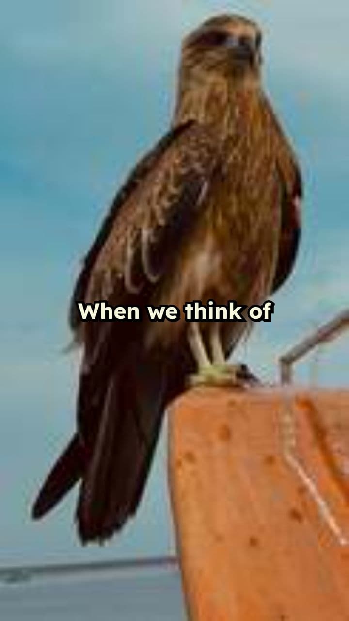 Nature’s Most Fearsome Birds of Prey