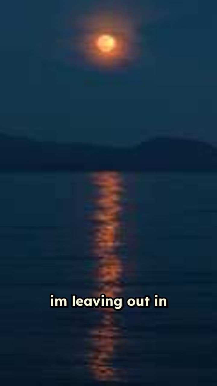 MMA Celebrity in Black Lamborghini