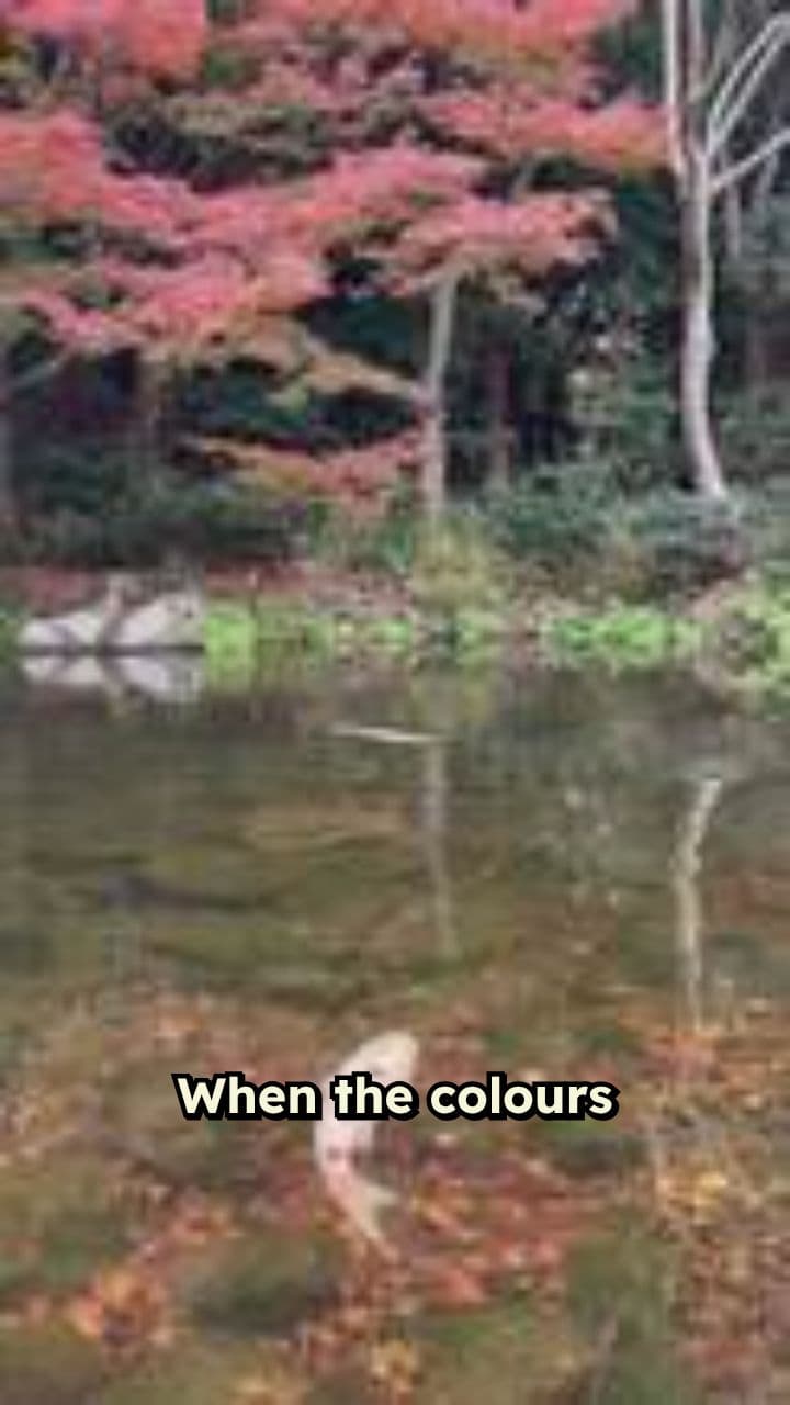 When the Colours Fade Away