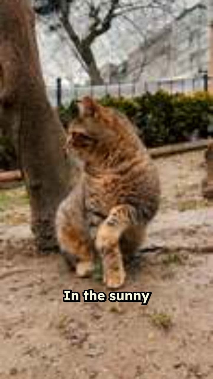 Oliver's Little Garden