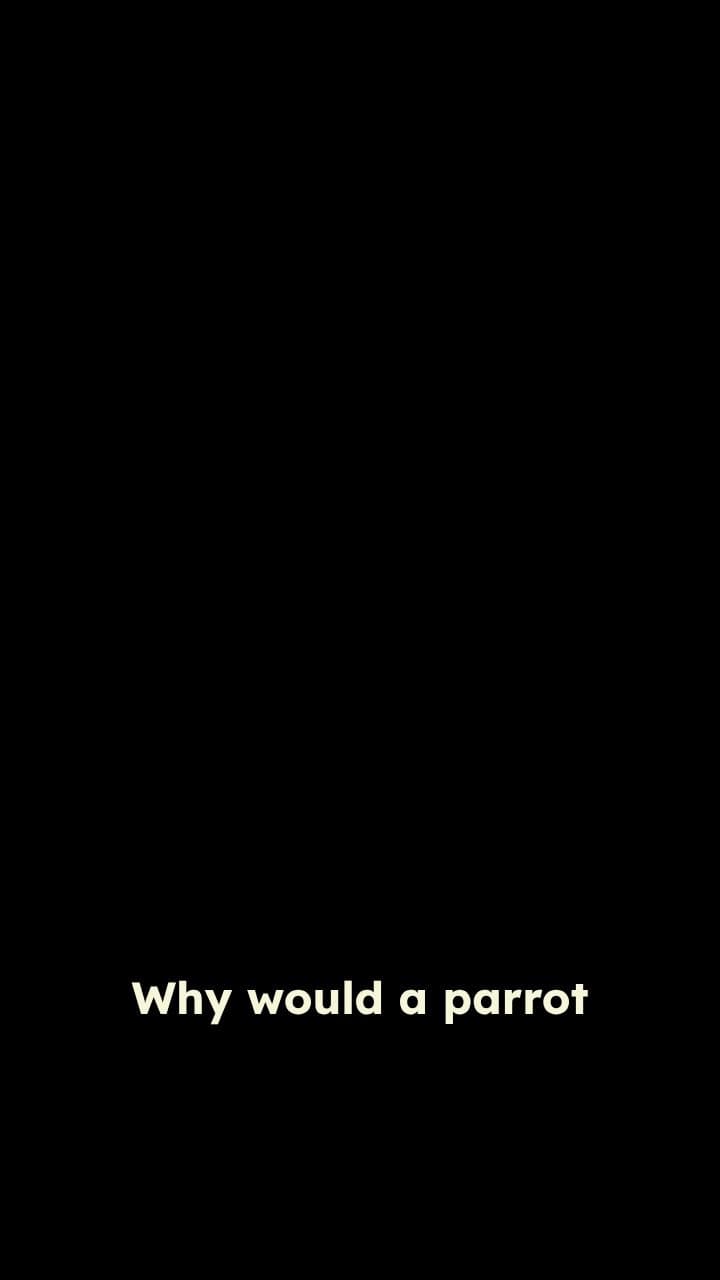 The Parrot and Musk’s Lost Bitcoin