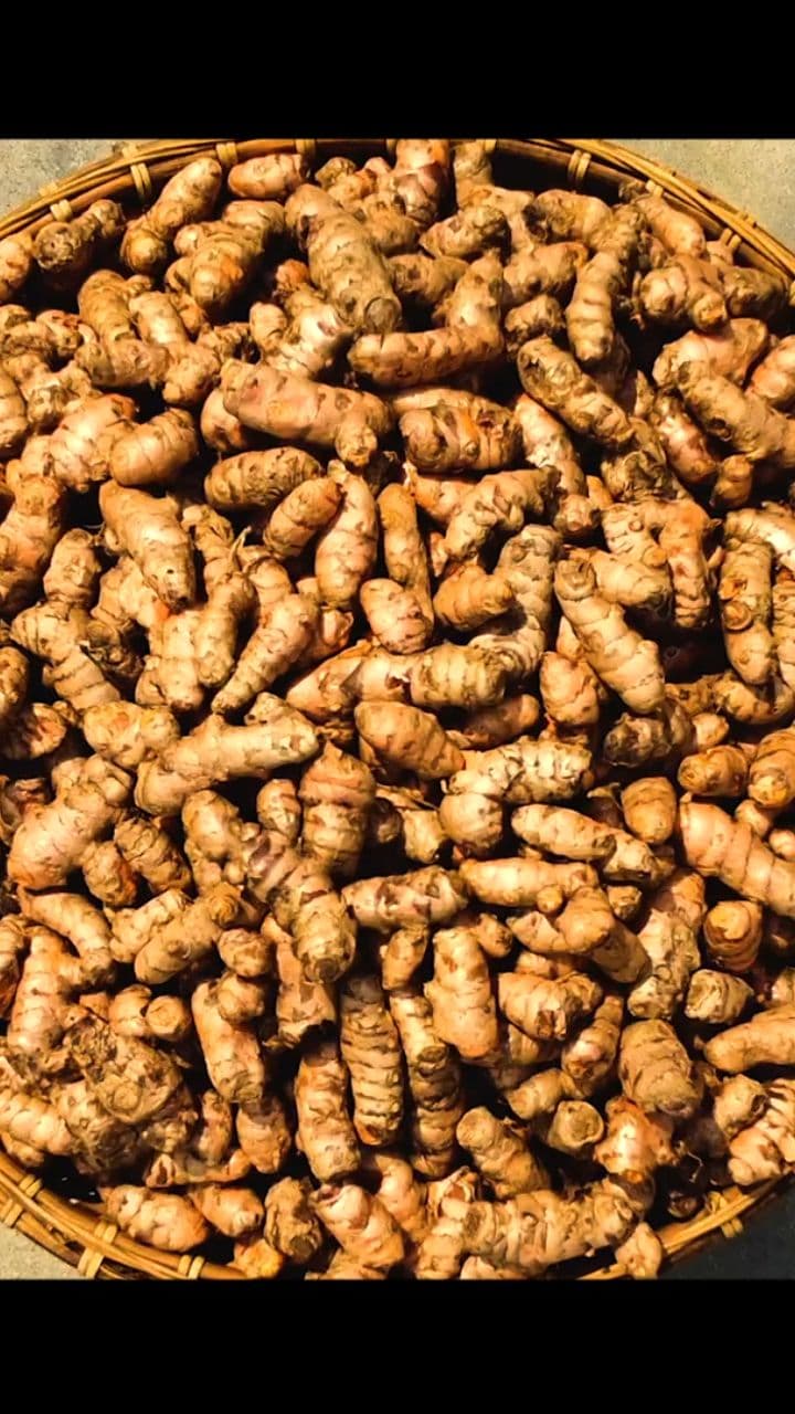 The World's Most Potent Turmeric