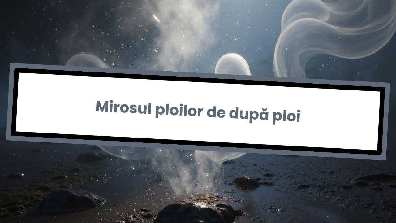 Mirosul ploilor de după ploi
