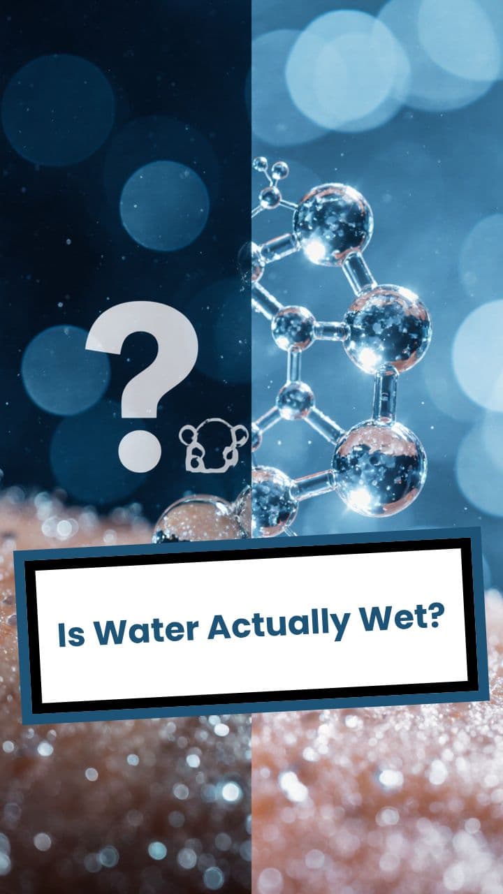 Is Water Actually Wet?