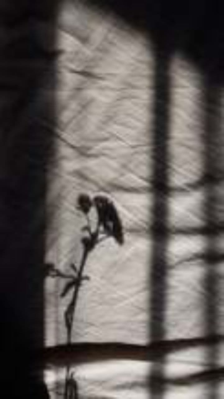 Two Years of Love and Memories