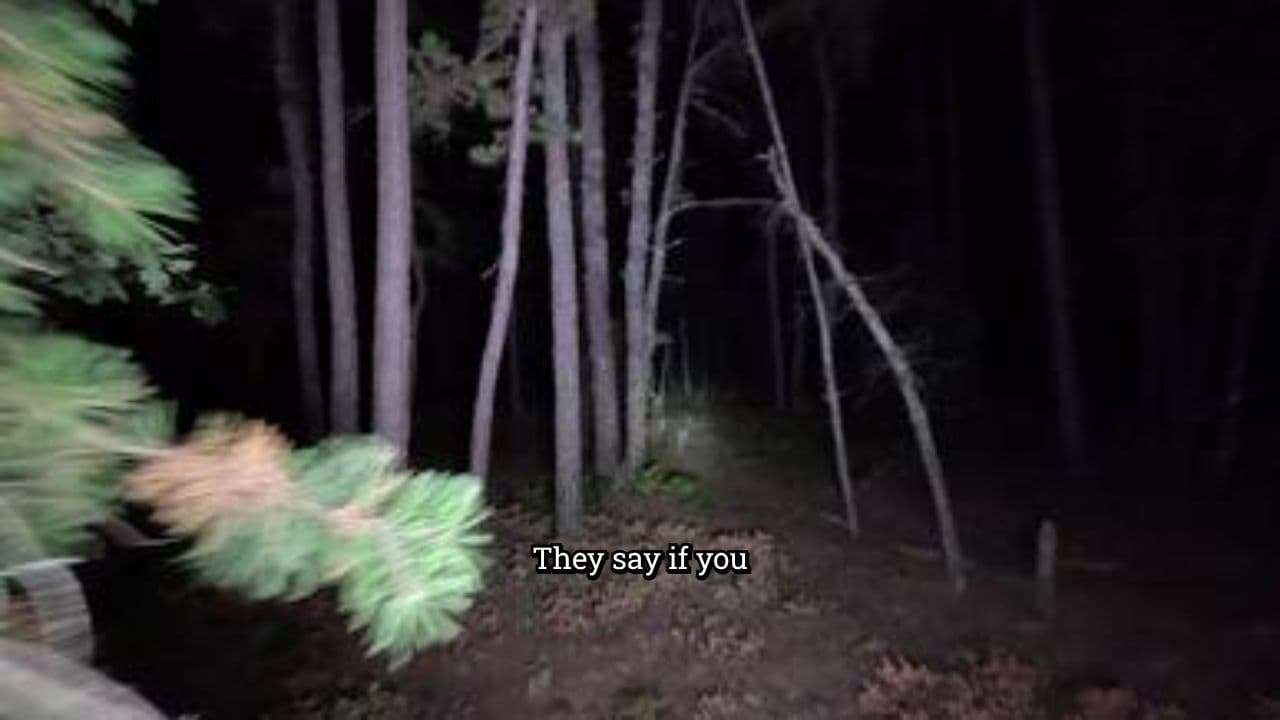 The Whistle of Pine Hollow