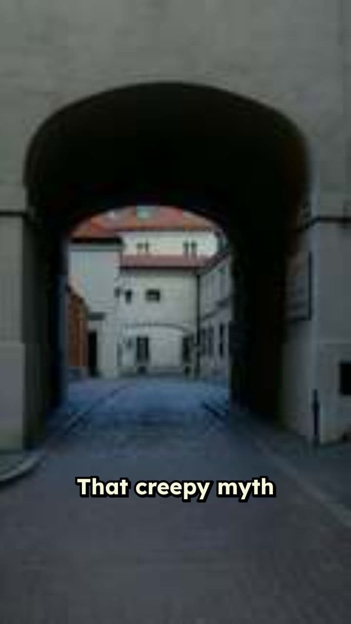 Alligator Found in Florida Storm Drain