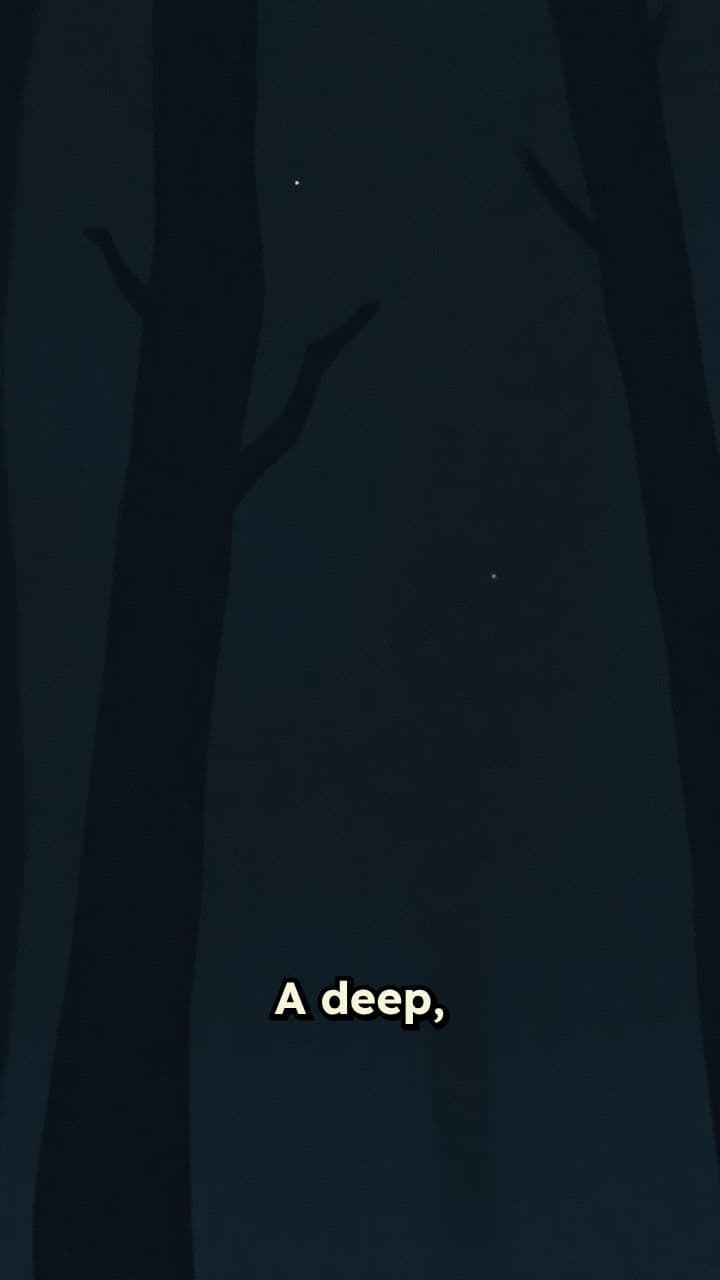 Awakening of the Zodiac