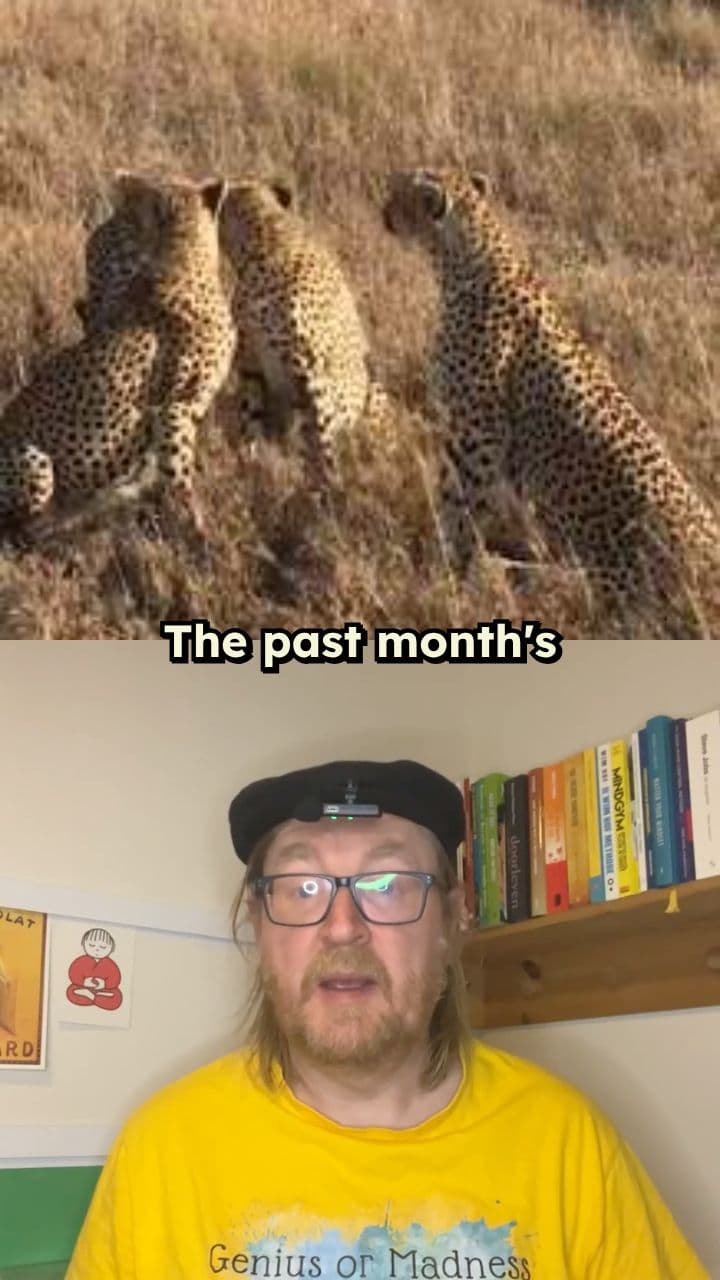 They Recognize Themselves In You