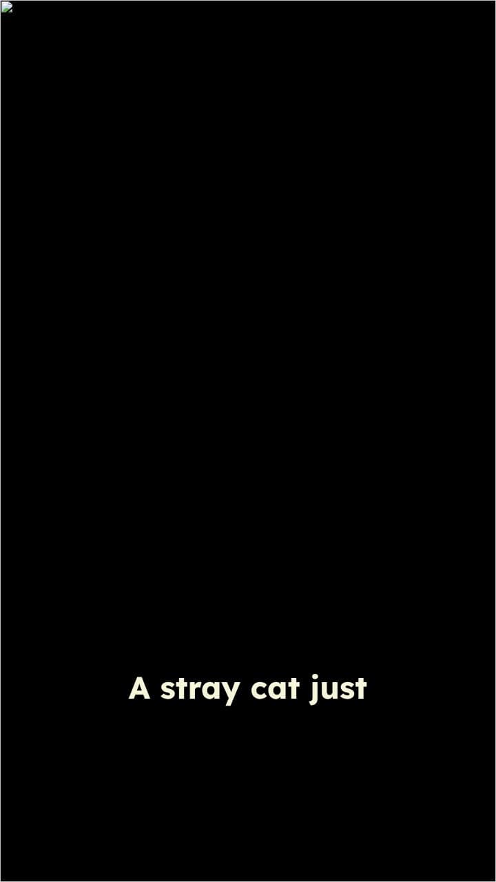 Cat Exposes Cousin's Cake Lie