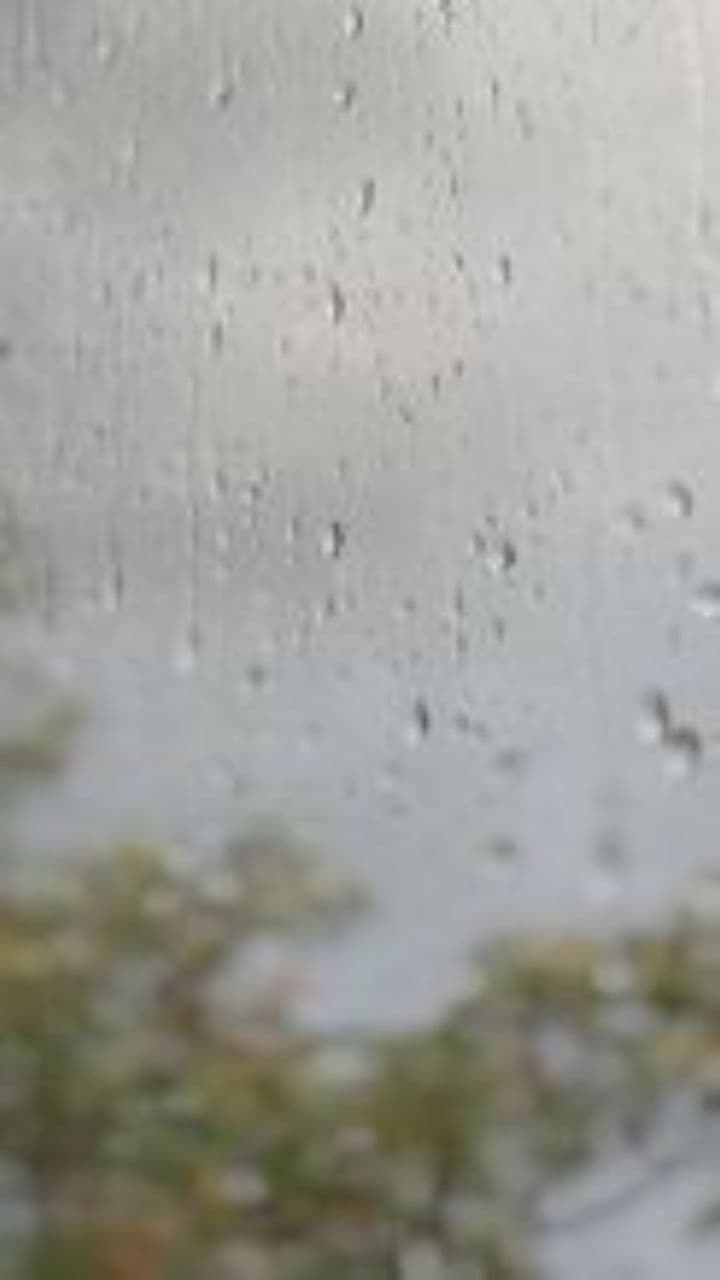 तू भी रोएगी