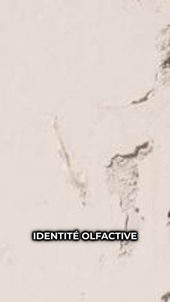Identité Olfactive par IA