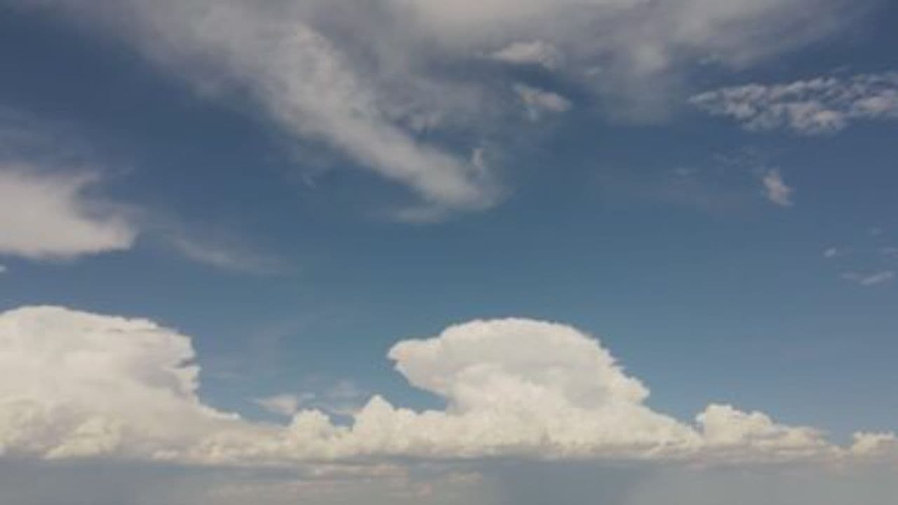 Отданный прохладе