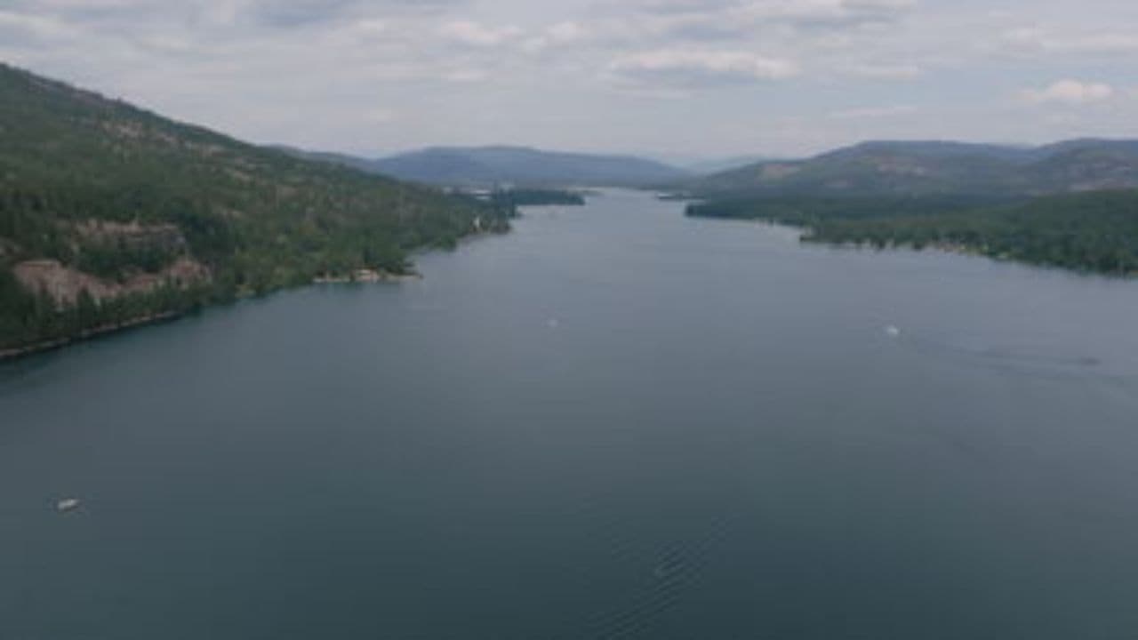 Surrender at Your Feet