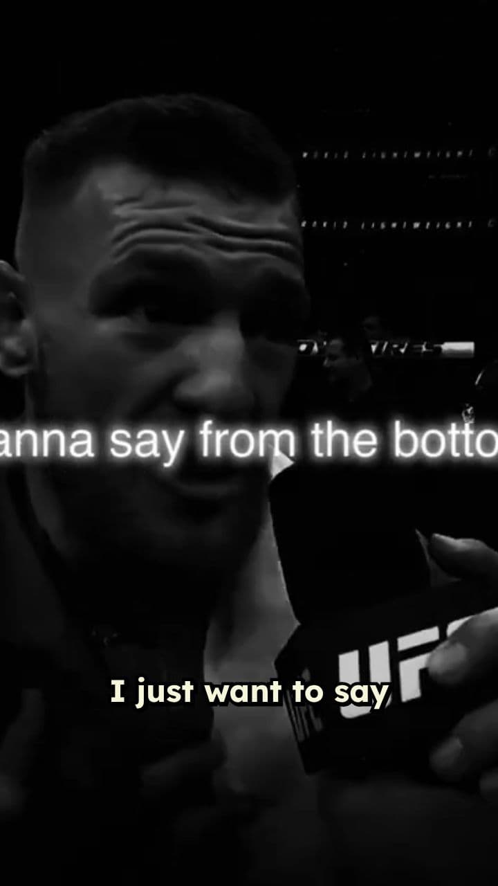 Apologize To Absolutely Nobody