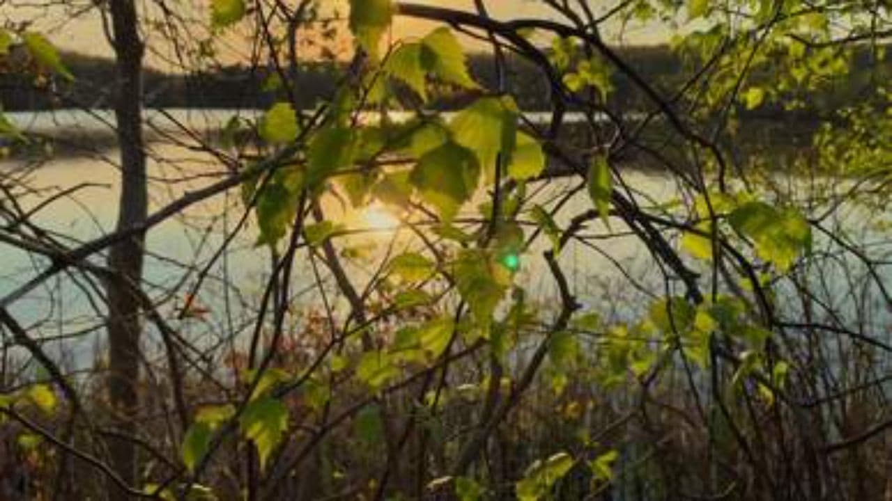 終わらない空の歌