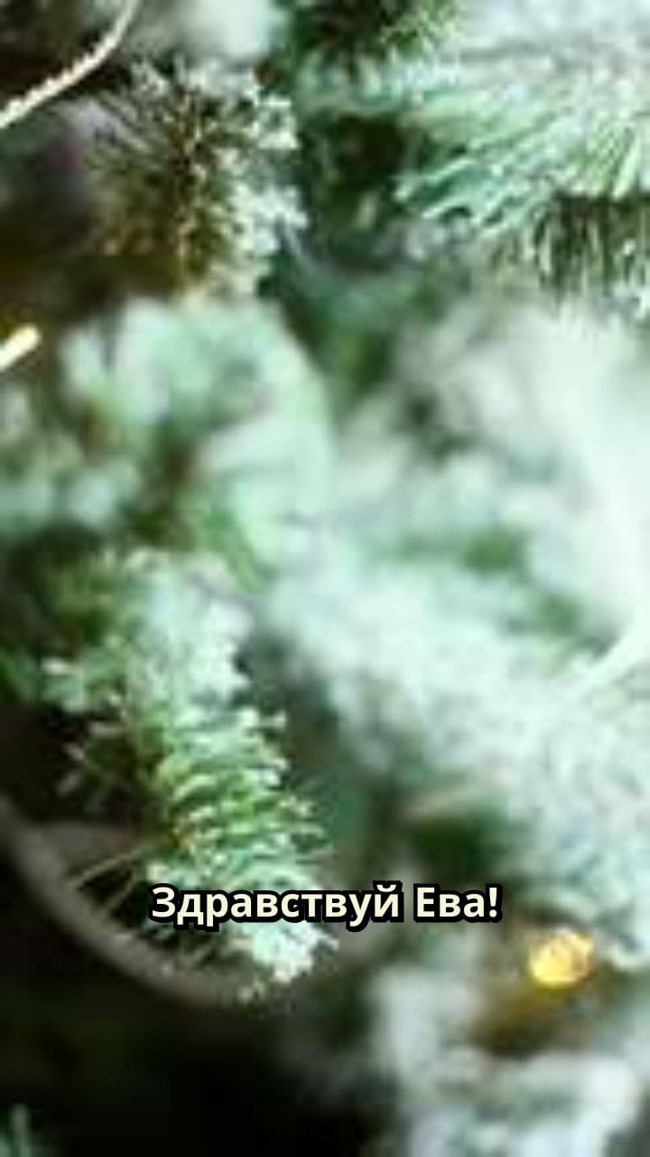 Письмо от Дедушки Мороза