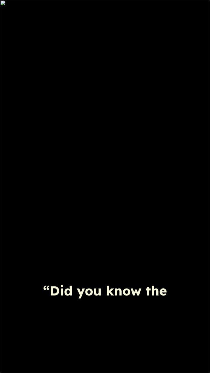 Why the World Cup Captivates the World