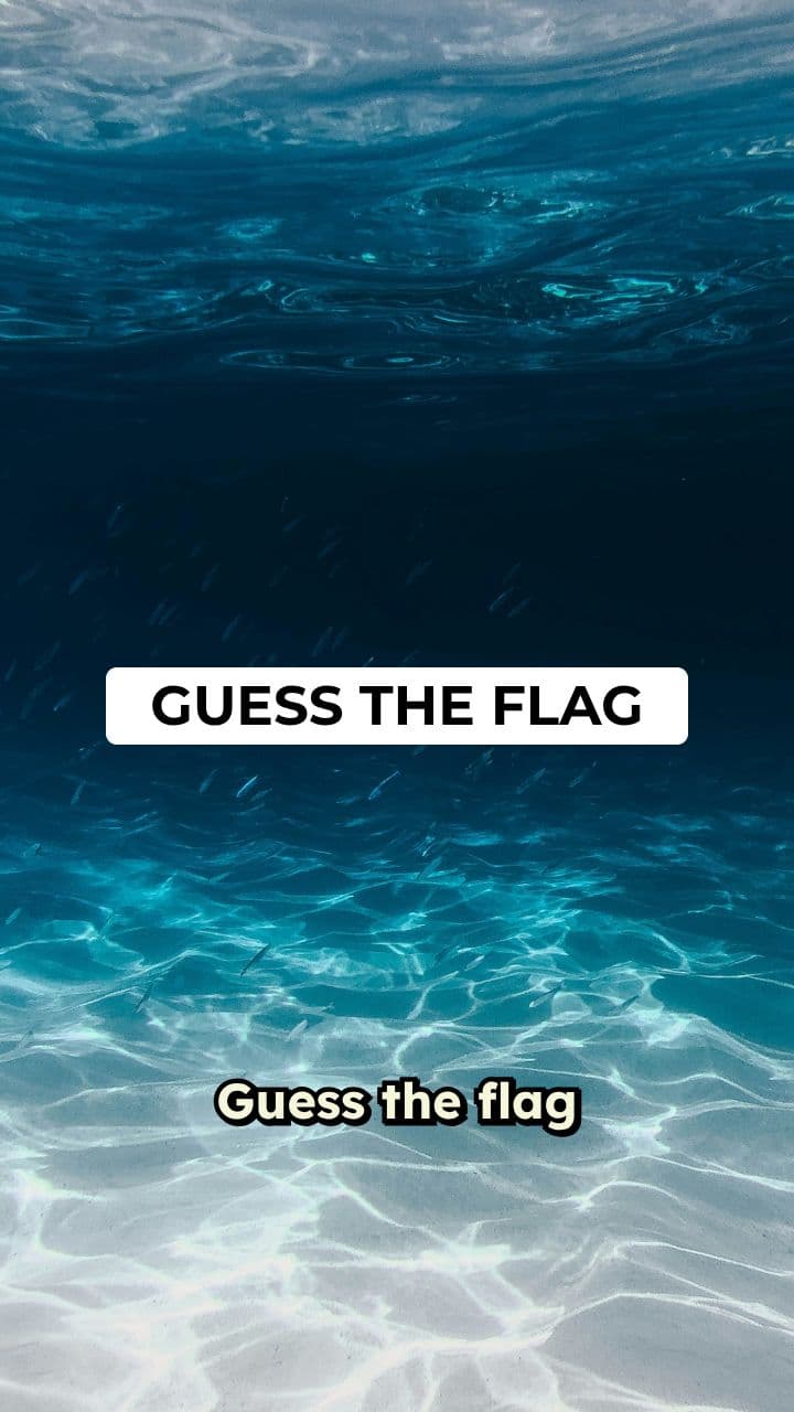 Guess the Flag Challenge