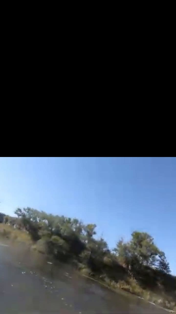 ¡Esa! La que lo Parió